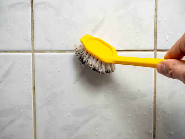 Home Mold Removal in Upper Pohatcong, NJ