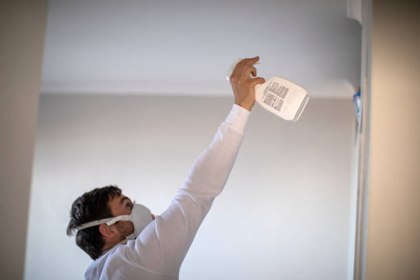 Best Attic Mold Removal  in Upper Pohatcong, NJ