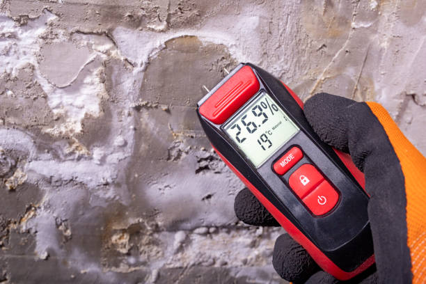 Best Office Mold Removal Services  in Upper Pohatcong, NJ