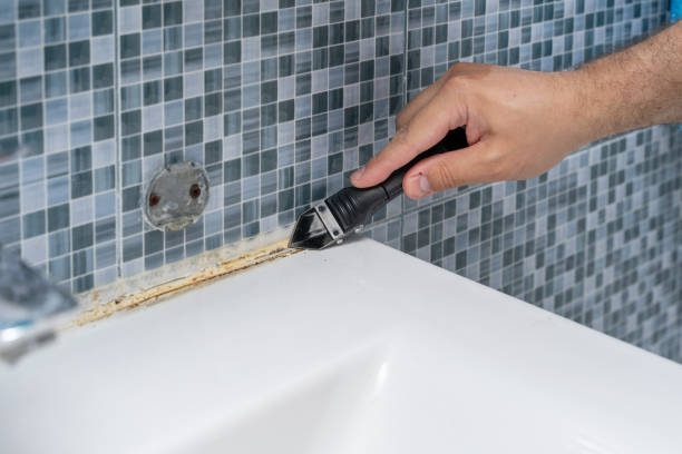 Mold Removal Process in Upper Pohatcong, NJ