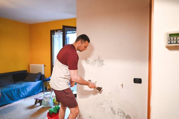 Best Commercial Mold Removal  in Upper Pohatcong, NJ